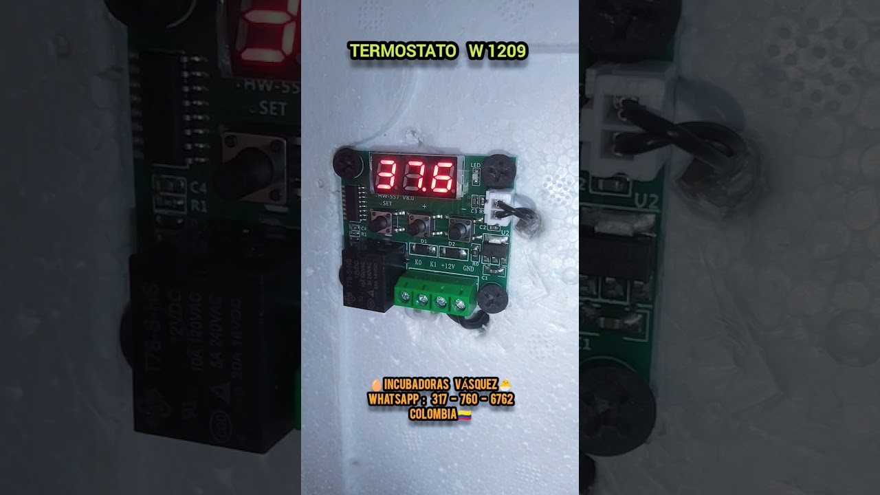 Termostato w1209, Programación