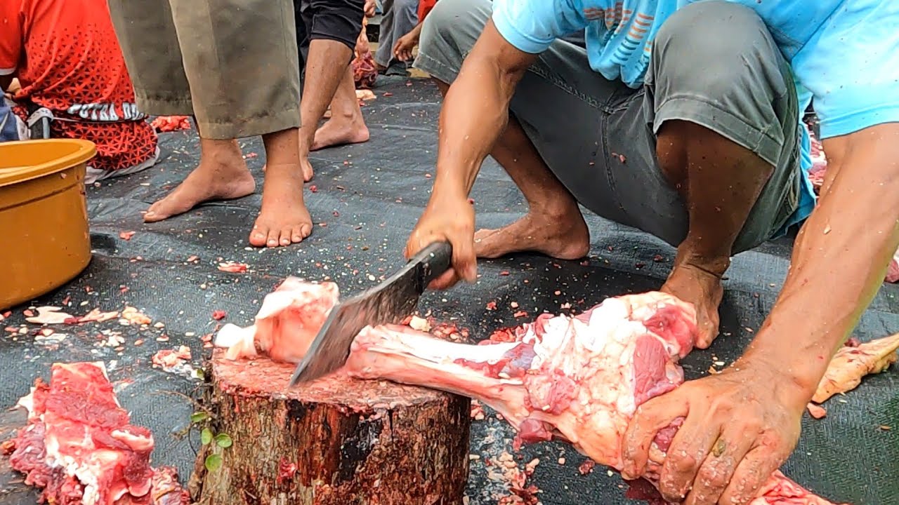super tangguh bahan pisau pegas mobil truk sanggup memotong kaki sapi keras full proses pembuatan