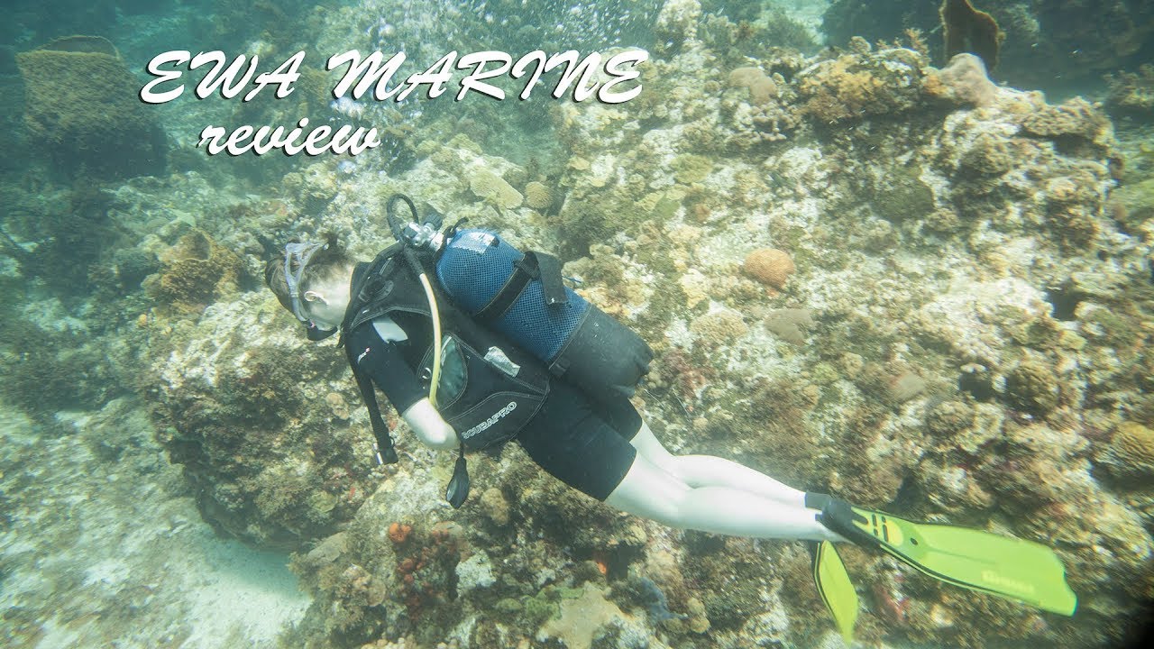 EWA Marine U-BZ100 - Review