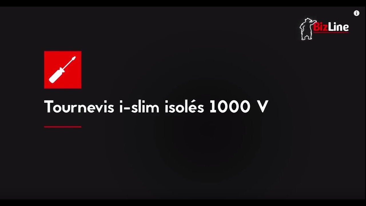 BizLine pr&eacute;sente les tournevis I-SLIM isol&eacute;s 1000V