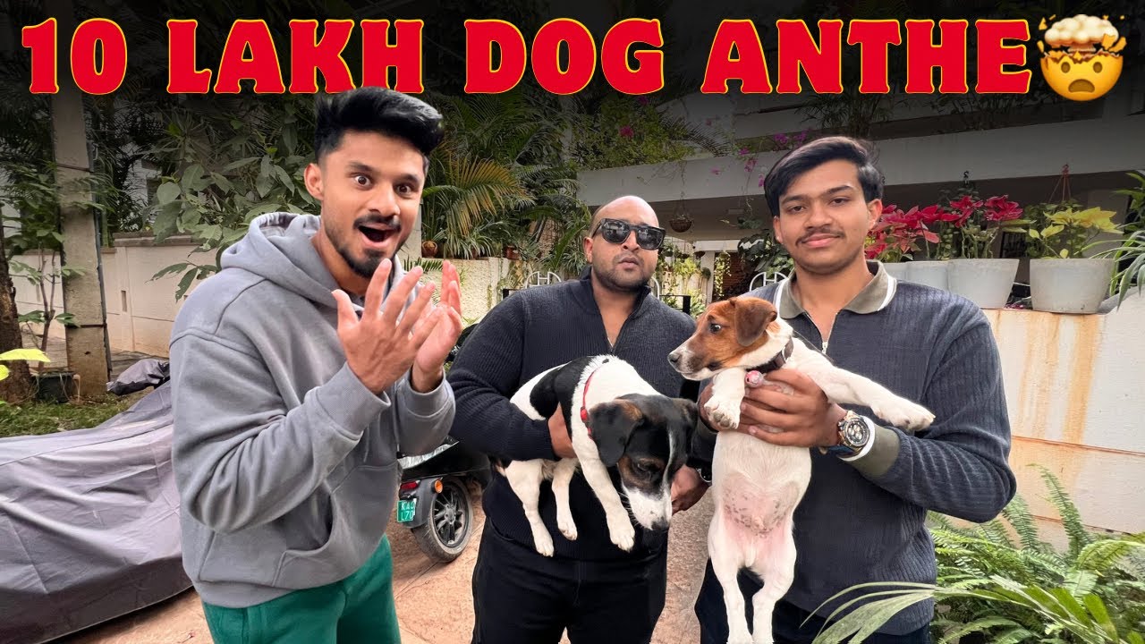 Nam AMMA voice hoytuu😂 | Daily Vlog | Karthik Gowda