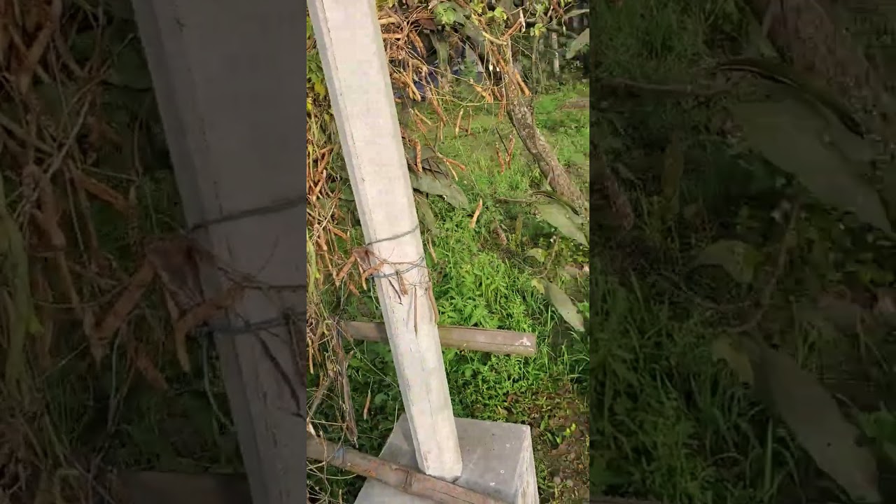ভিতরের কাজ প্রায় শেষ আনেক কিছু গুছিয়ে নেওয়া হয়েছে