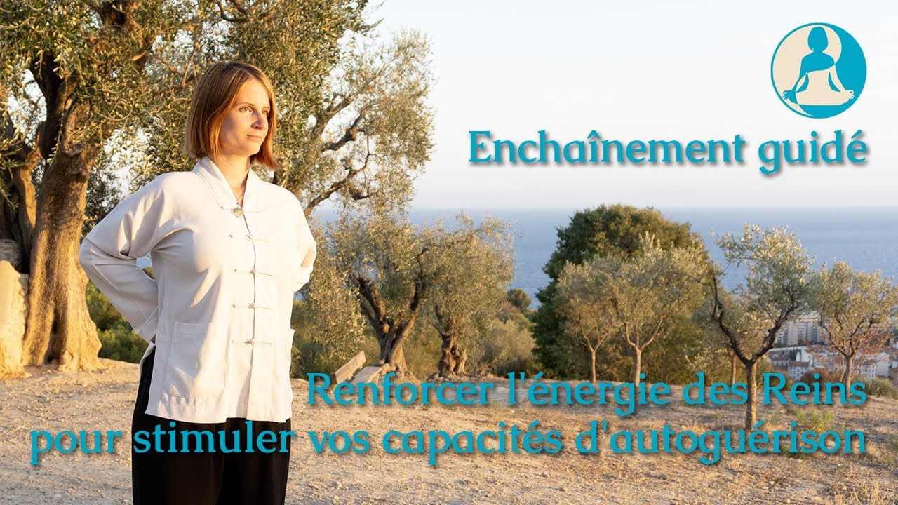 Renforcer l'énergie des Reins pour stimuler vos capacités d'autoguérison