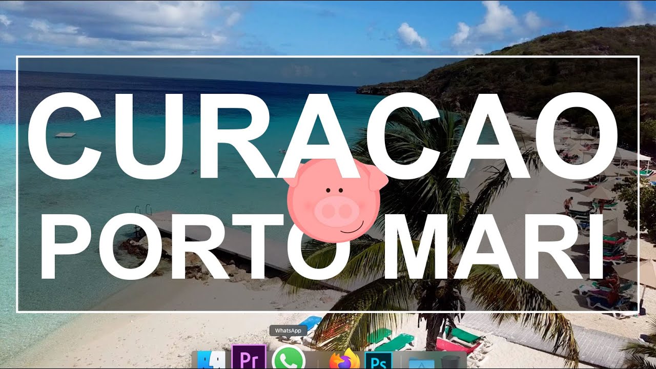 Agua turquesa, cerdos y frutas medicinales!