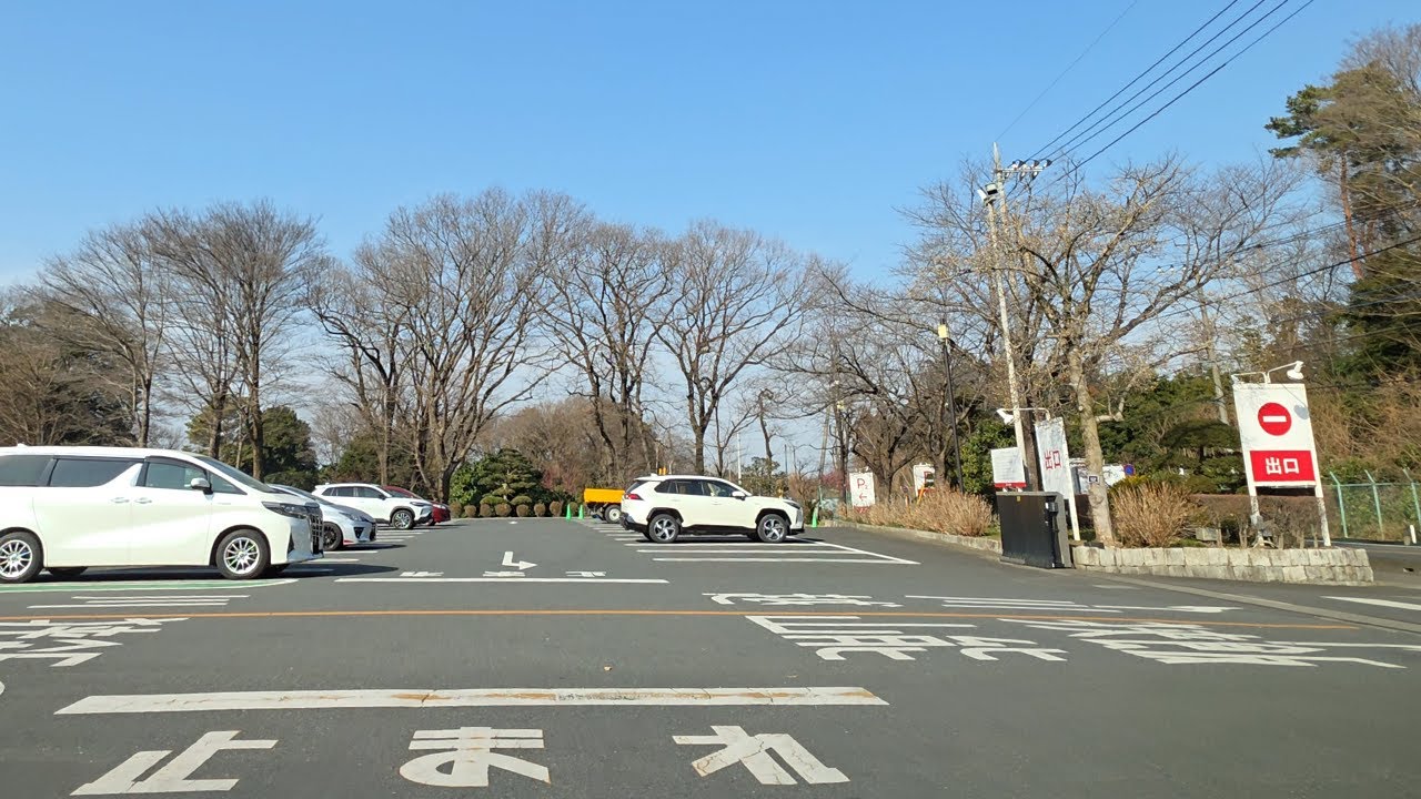 🅿️豚のテーマパークサイボク『平面』P2駐車場出口から(P1経由)｜埼玉県・日高市・下大谷沢 走行ルート
