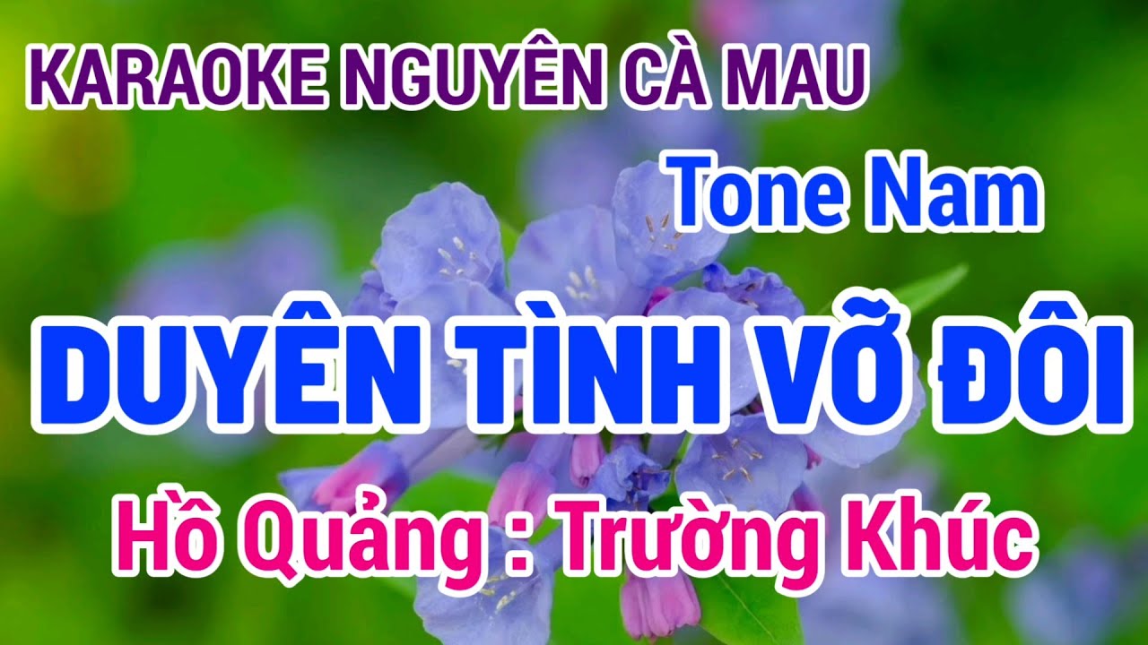 Karaoke Duyên Tình Vỡ Đôi | Hồ Quảng Trường Khúc | Tone Nam | Nguyên Cà Mau 11/4/2024