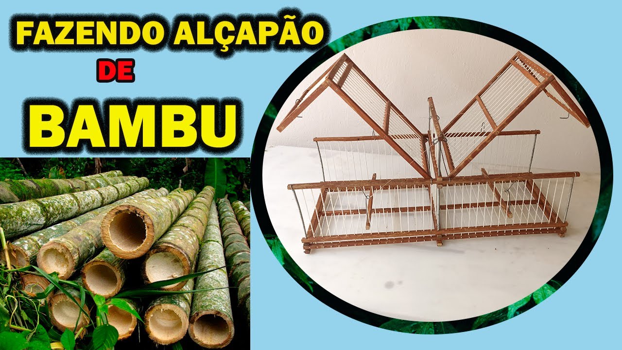FAZENDO ALÇAPÃO MANUAL DE BAMBU COM DUAS BOCAS, GAIOLA PEGADEIRA DE DUAS BOCAS.