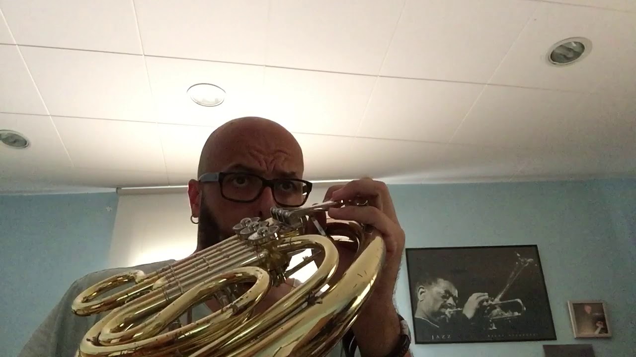 Look, Listen & Learn vol.1, Scarborough Fair (track 82)- French horn/trompa