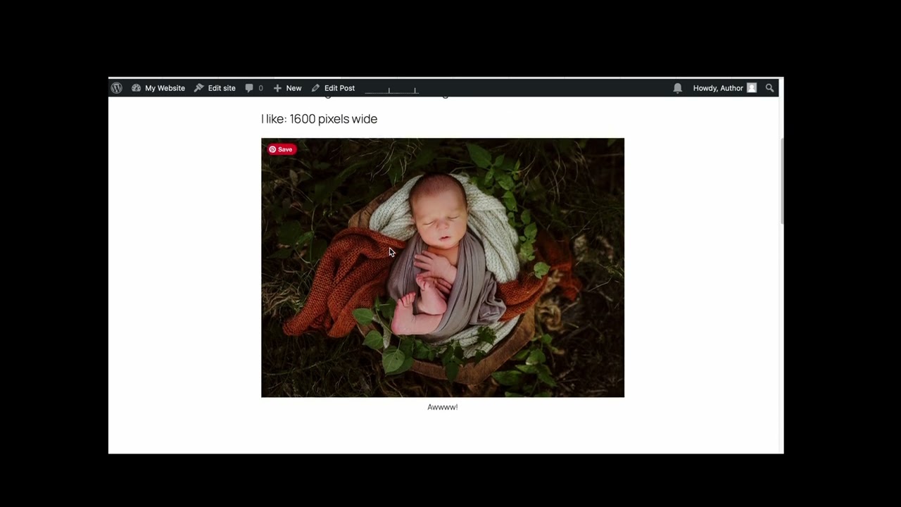 How to Add Images to a WordPress Blog Post