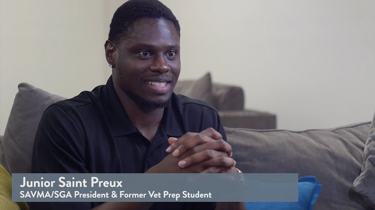 Why Ross Vet &mdash; Ross University School of Veterinary Medicine