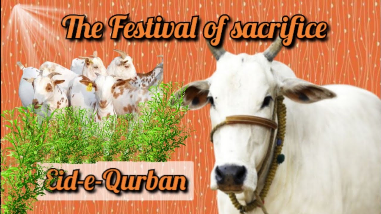 Eid-e-Qurban || The Festival of sacrifice || The Takbeer for Eid