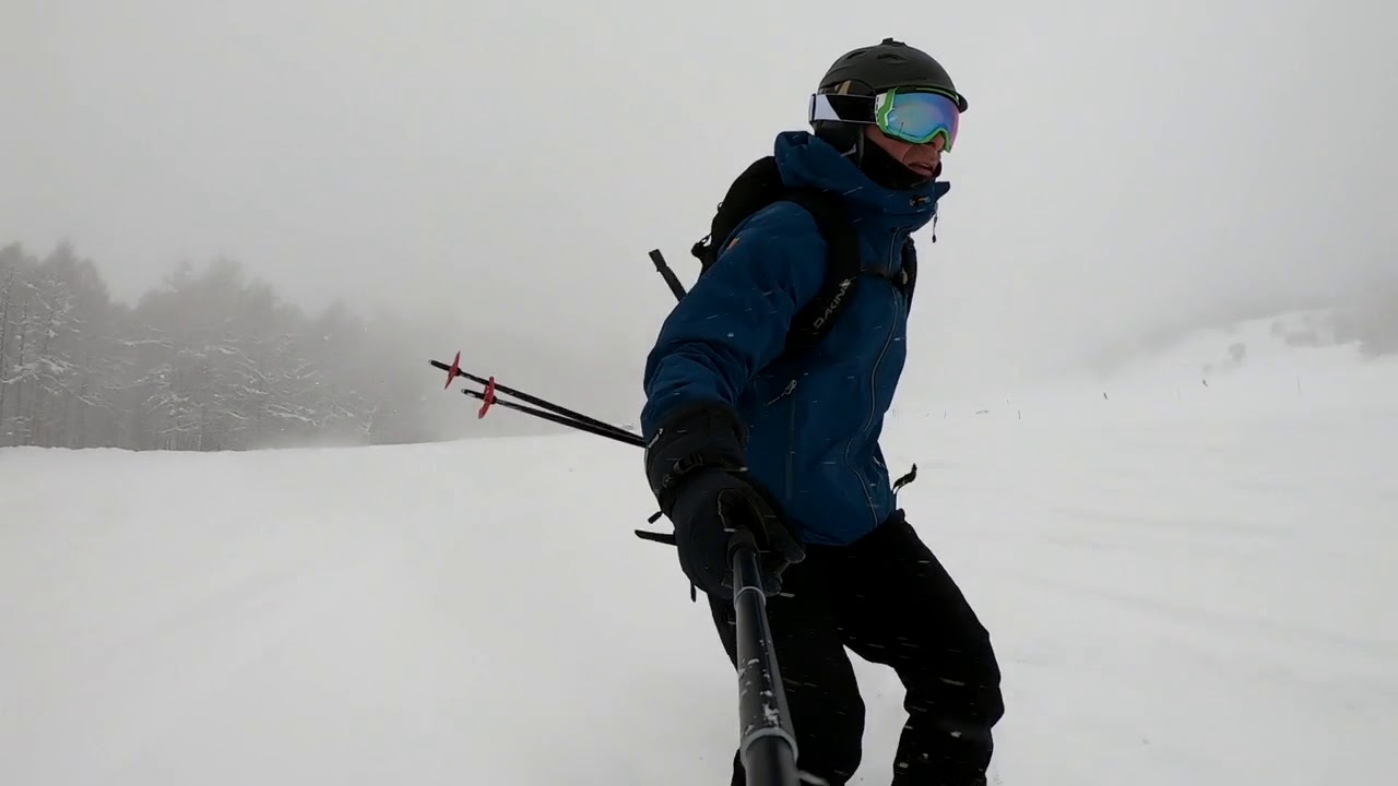 Myoko Suginohara trees feb 2019