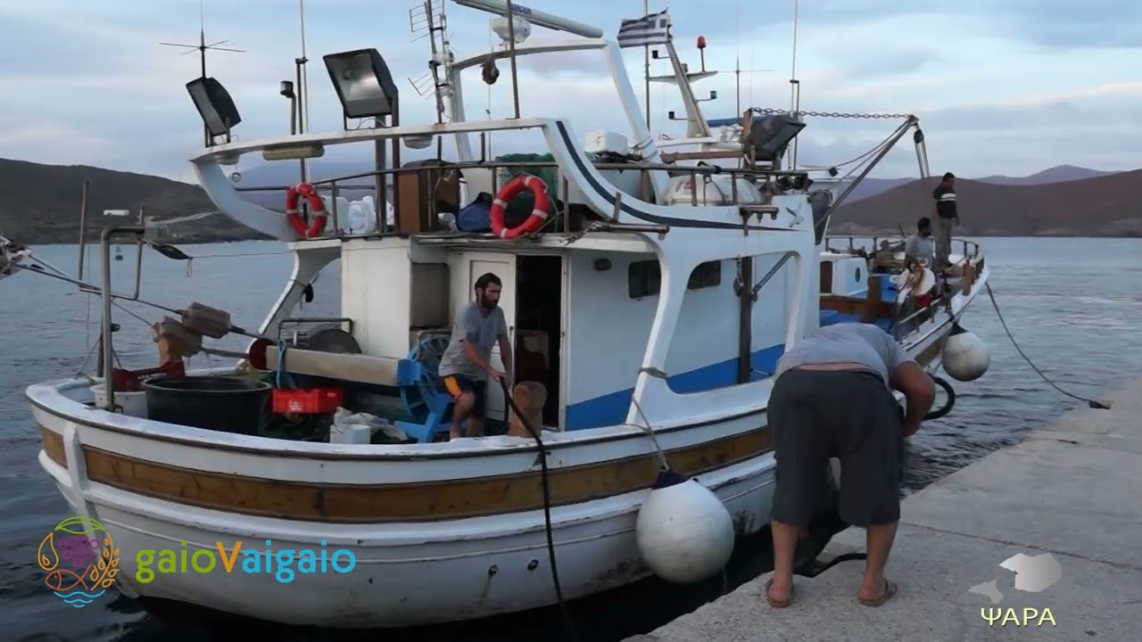 Ψαρά: Το νησί της Ιστορίας και της Αυθεντικής Παραγωγής