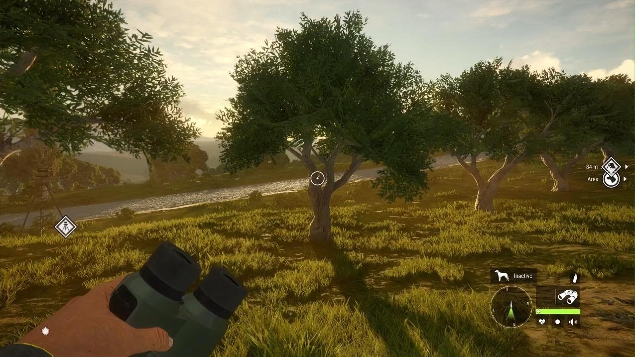 Cazando jabalí en el comedero - The Hunter Call of the Wild PS5