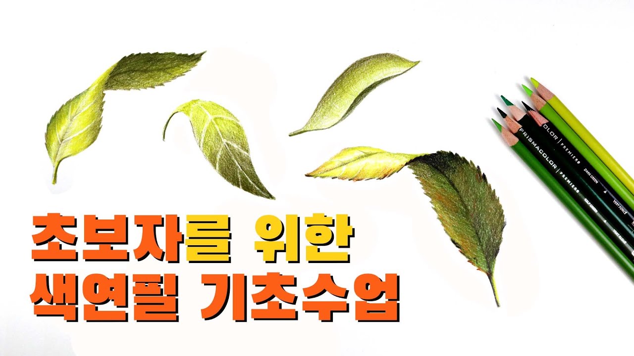 색연필 기법 - 식물그리기 / 나뭇잎 잎사귀 채색방법