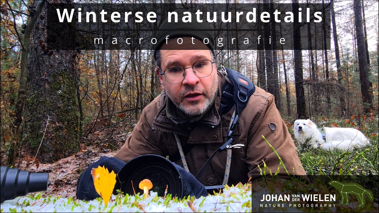 ~ Winterse natuurdetails ~ tutorial detail- / macrofotografie