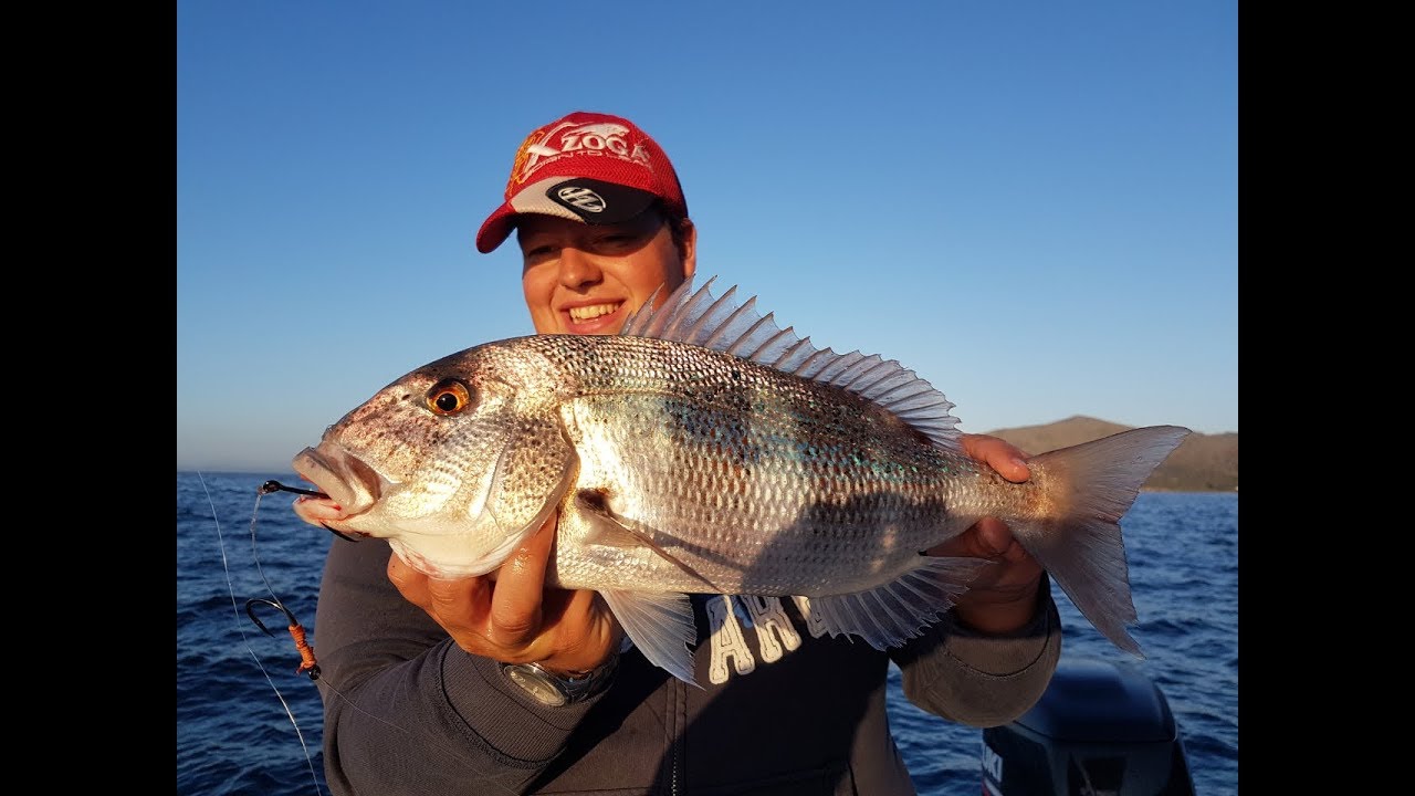Dentex, Barracuda, Mahi Mahi || Fishing in Spain