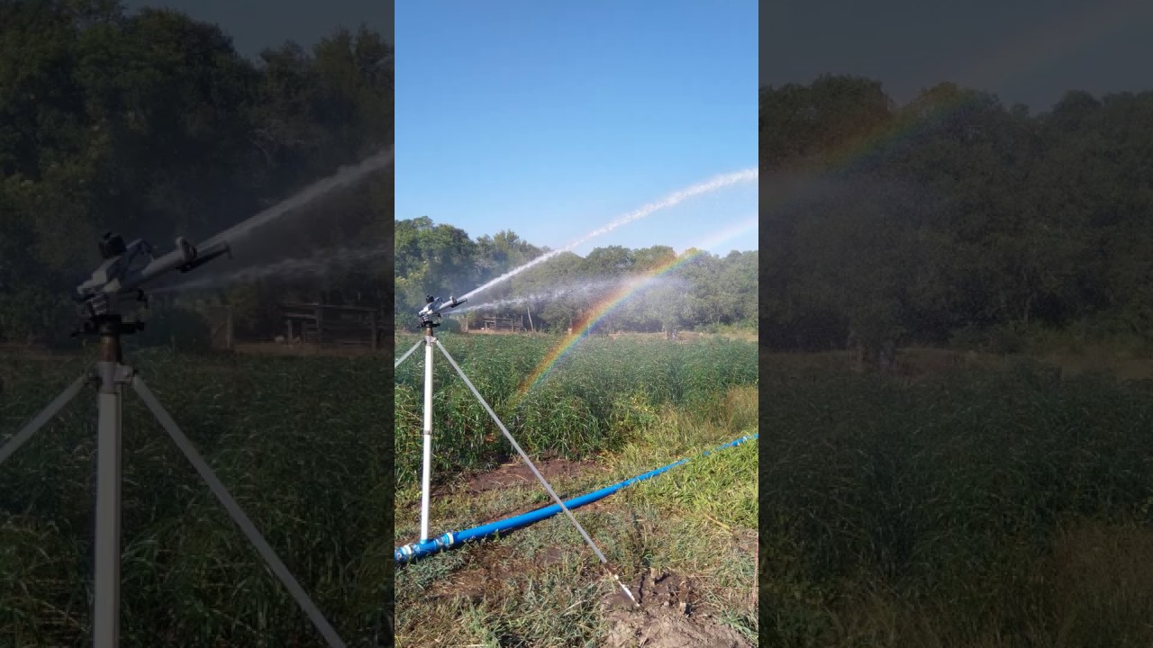 irriga&ccedil;&atilde;o com mini canh&atilde;o