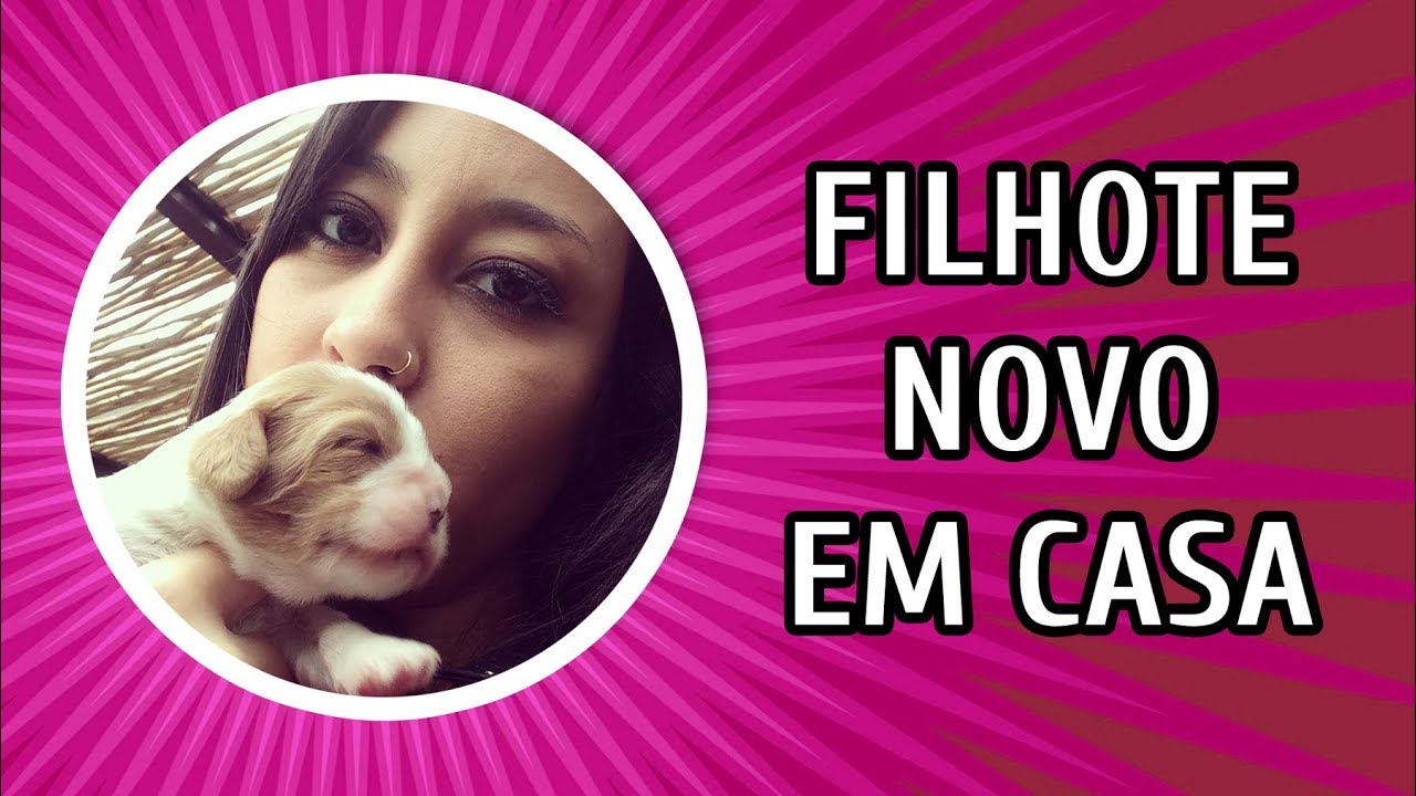 O QUE FAZER E O QUE COMPRAR PARA A CHEGADA DE UM NOVO CACHORRO (FILHOTE OU ADULTO)
