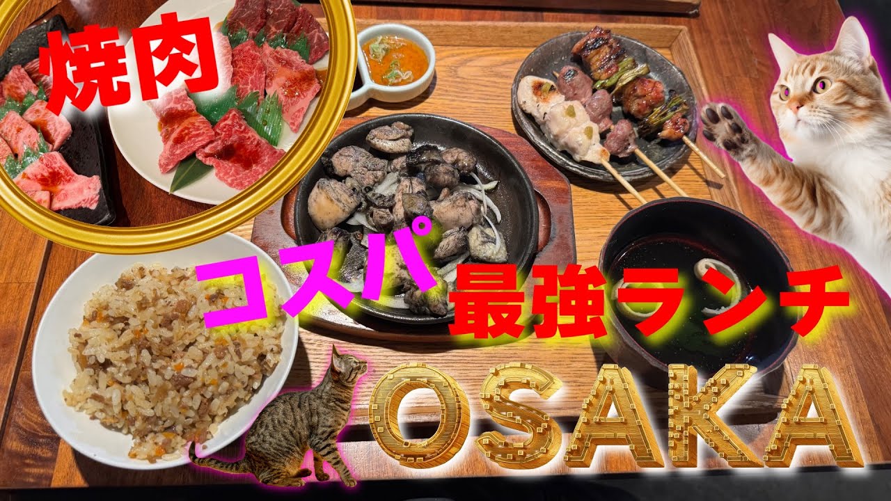 [Osaka Gourmet] Лучший якинику, якитори по лучшей цене и осенний карри на обед #osakagourmet