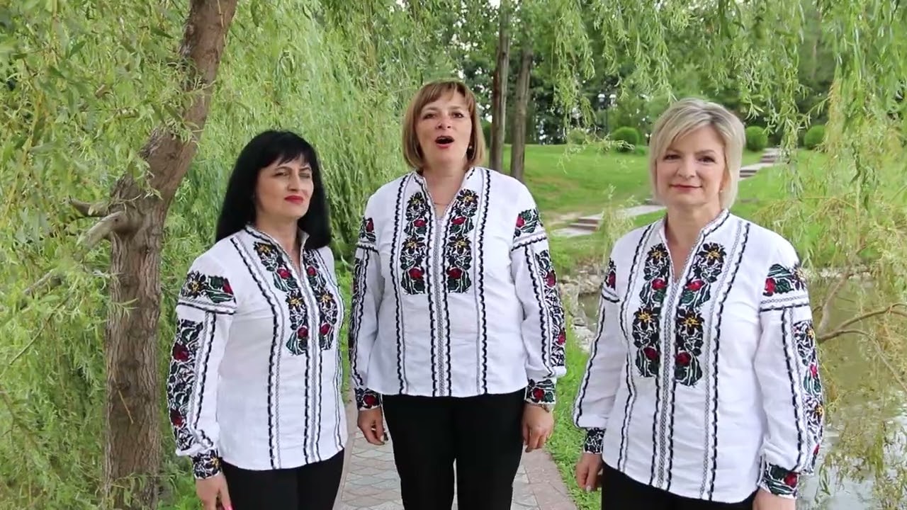 Сину, качки летять
