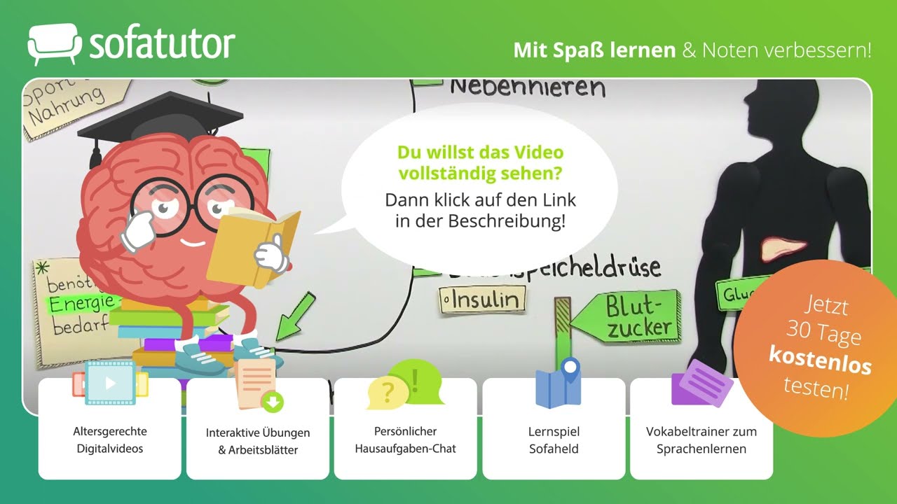 Was ist der Blutzucker? – Bedeutung & Regulation im Körper