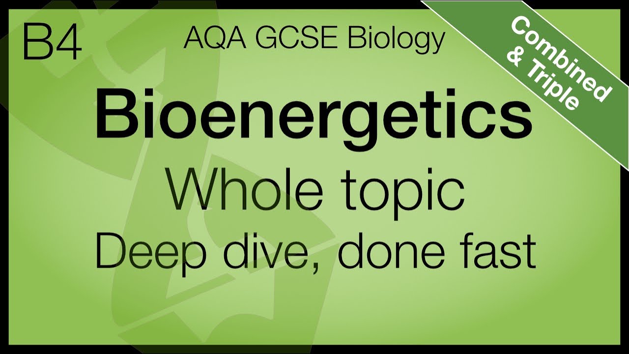 AQA GCSE Biology - Bioenergetics | Whole Topic | Combined and Triple Science
