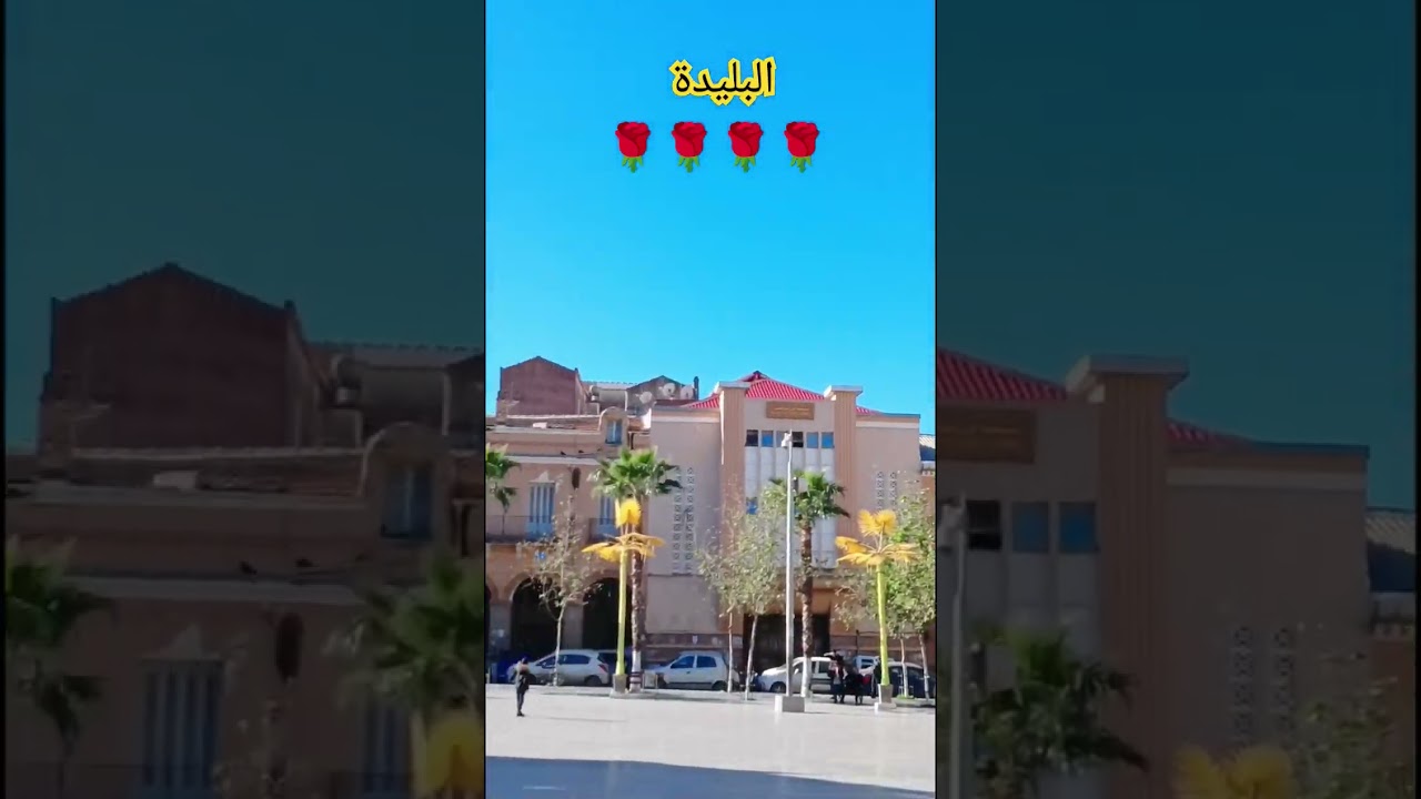 La belle ville de Blida. Alg&eacute;rie 🌳🌹🌹🌹🌹🇩🇿🇵🇸🇩🇿🌹🌹🌹🌹