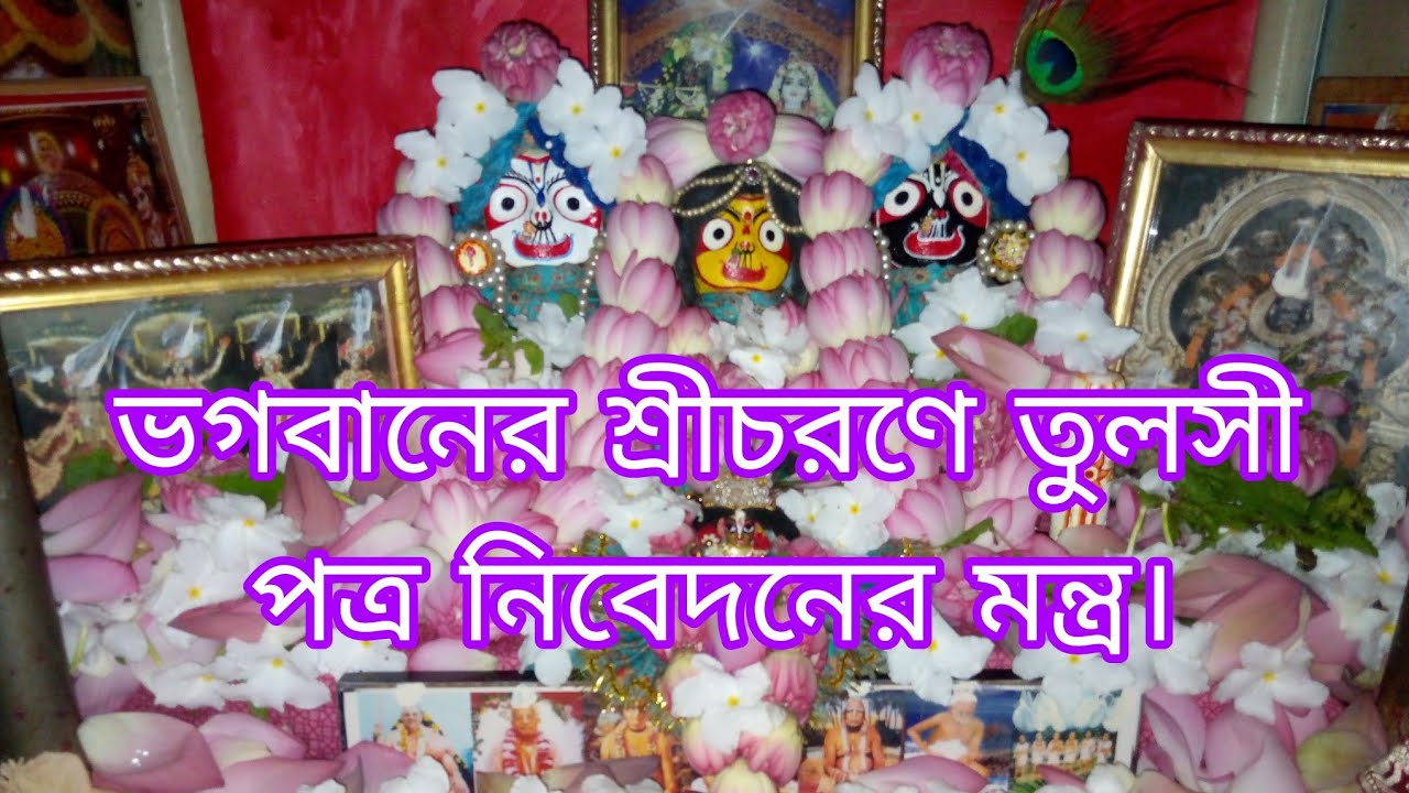 ভগবানের শ্রীচরণে তুলসী পত্র নিবেদনের মন্ত্র।