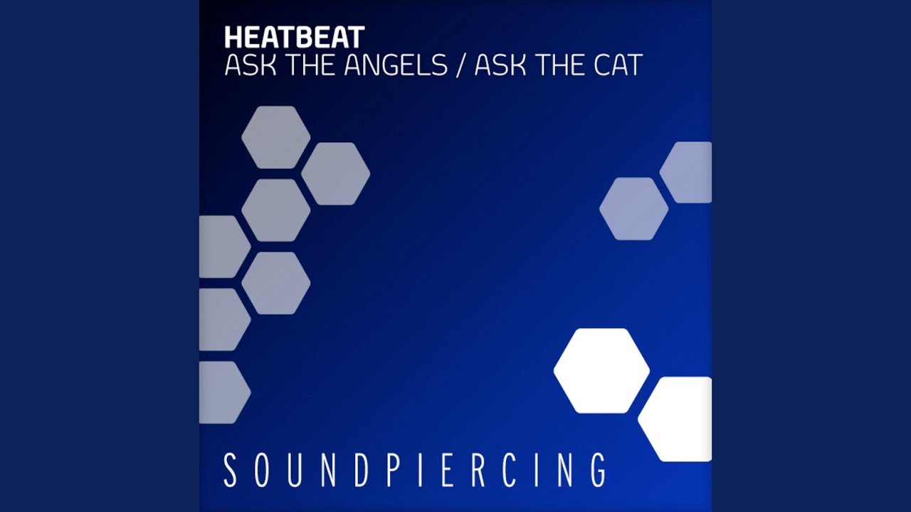 Ask The Cat (Original Mix)