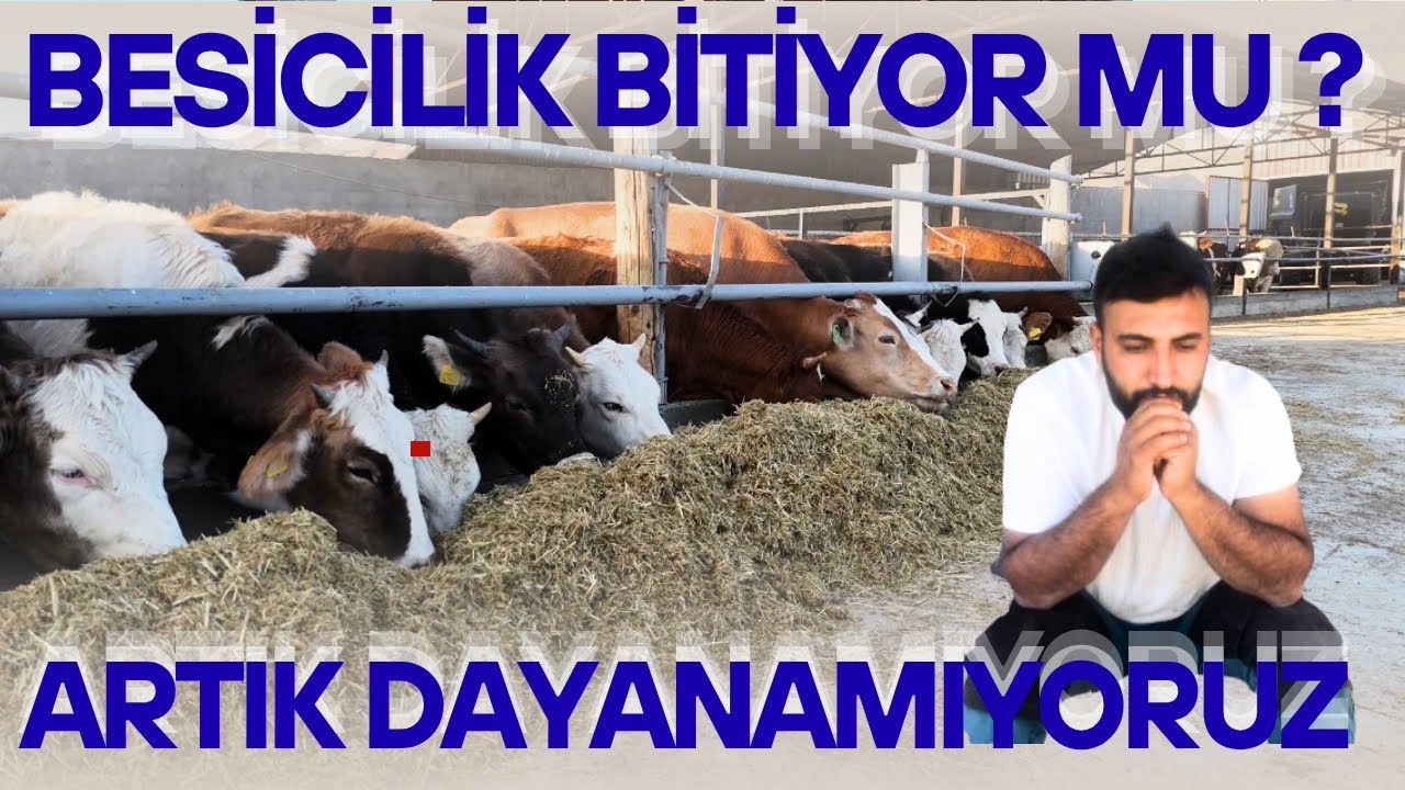 2026&rsquo;DA BESİCİLİK BİTİYOR MU? GER&Ccedil;EKLERİ KONUŞALIM