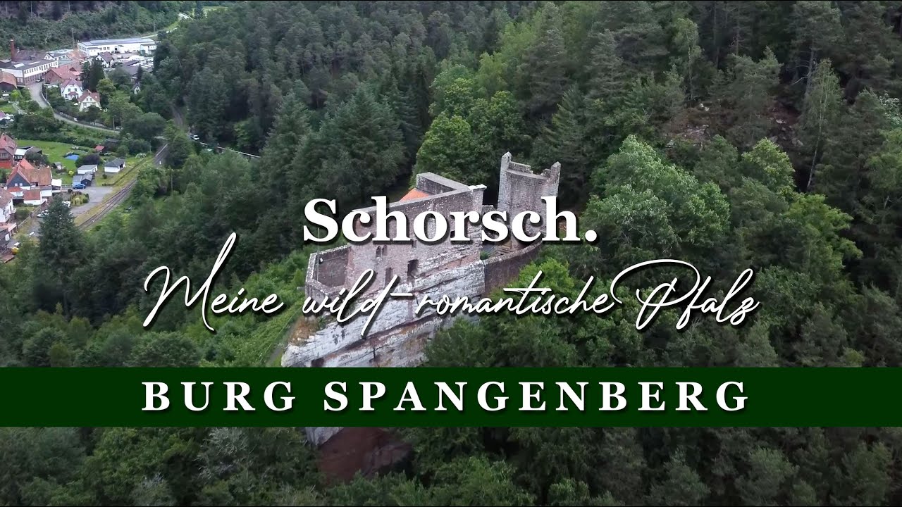 Schorsch. Meine wild romantische Pfalz – Burg Spangenberg und die lederne Brücke …