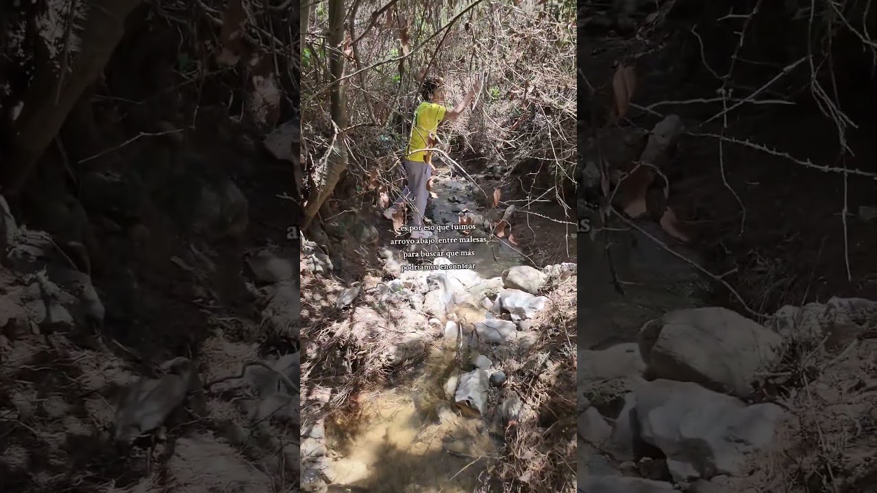buscando afluentes de agua #nature