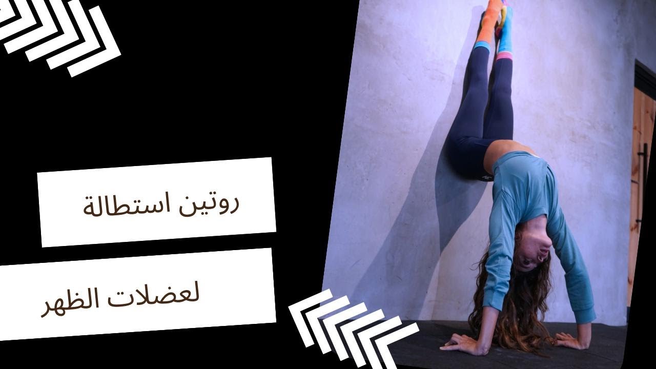 روتين لمرونة الظهر