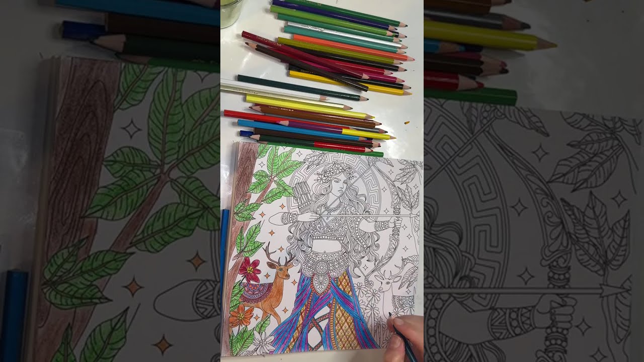 Dolci Mascarenhas está ao vivo!