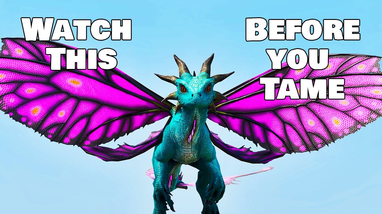 How To PERFECT Tame a Drakeling - Ark Survival Ascended