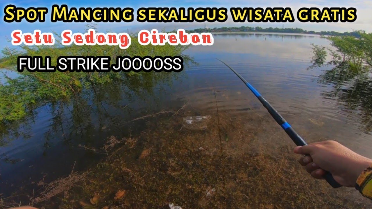 Mancing di danau situ sedong Cirebon air sudah mulai meluap banyak ikan nya