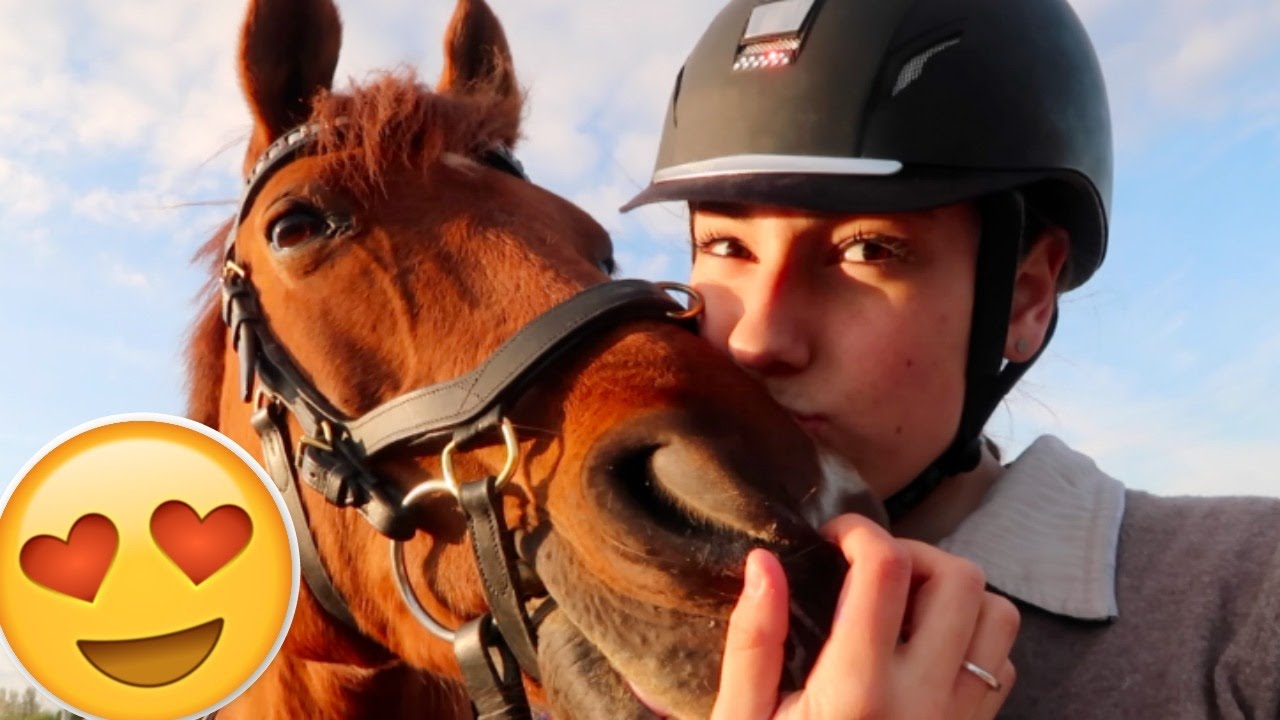 VLOG #37- Eerste dressuurles sinds anderhalf jaar! | LeanneAbigail