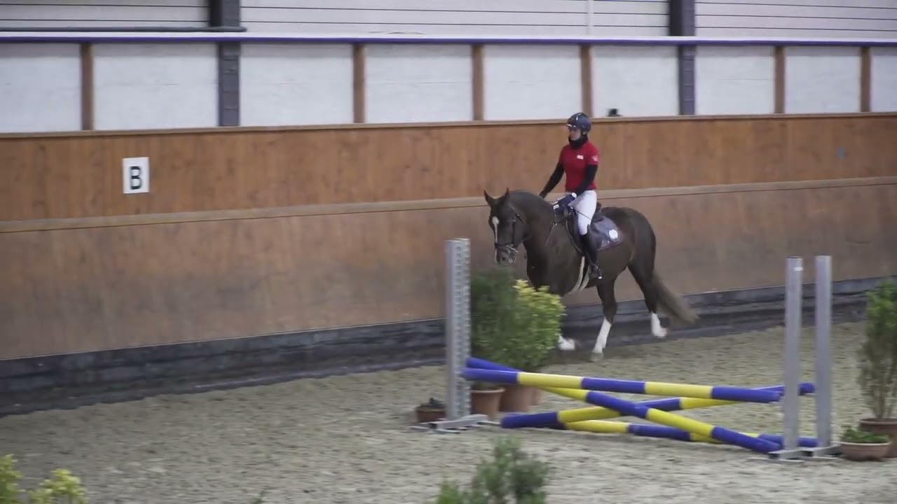 7 Equitation/Reiten TES/ST Avenches 28.02.2026 - 142 Don Dreamboy du Paradis