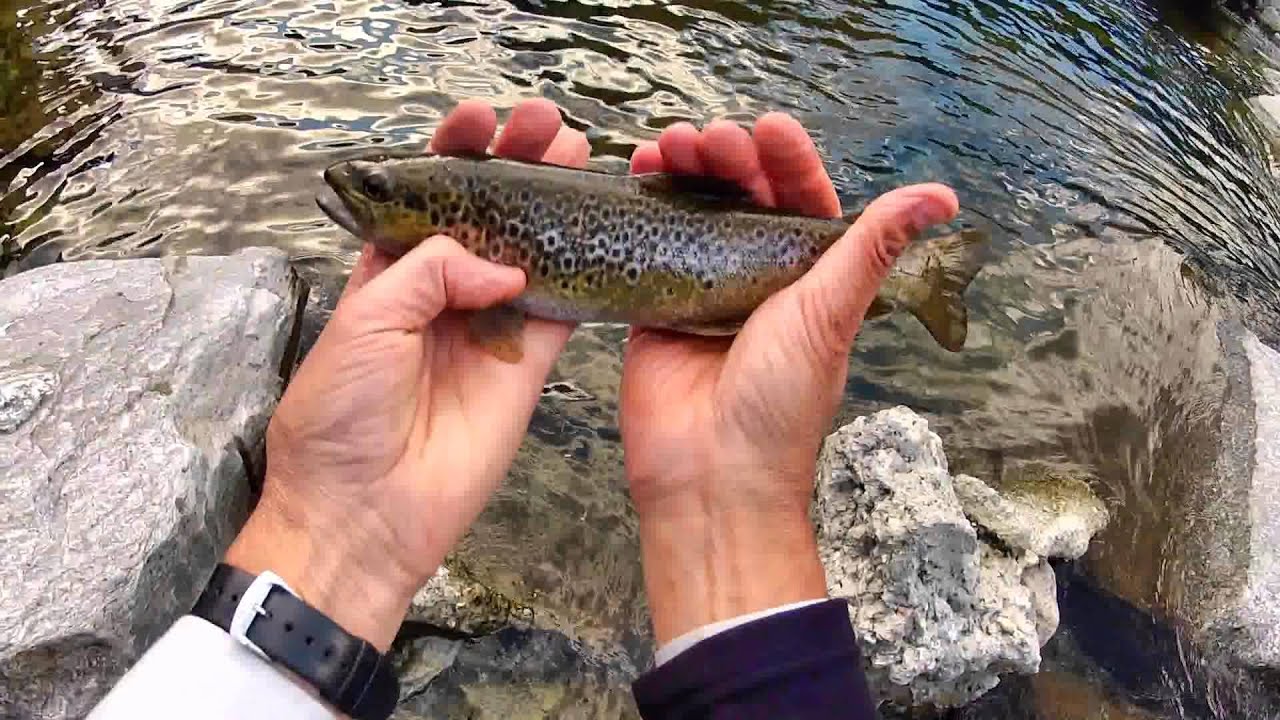 La tecnica della moschera  pesca nell'Ossola