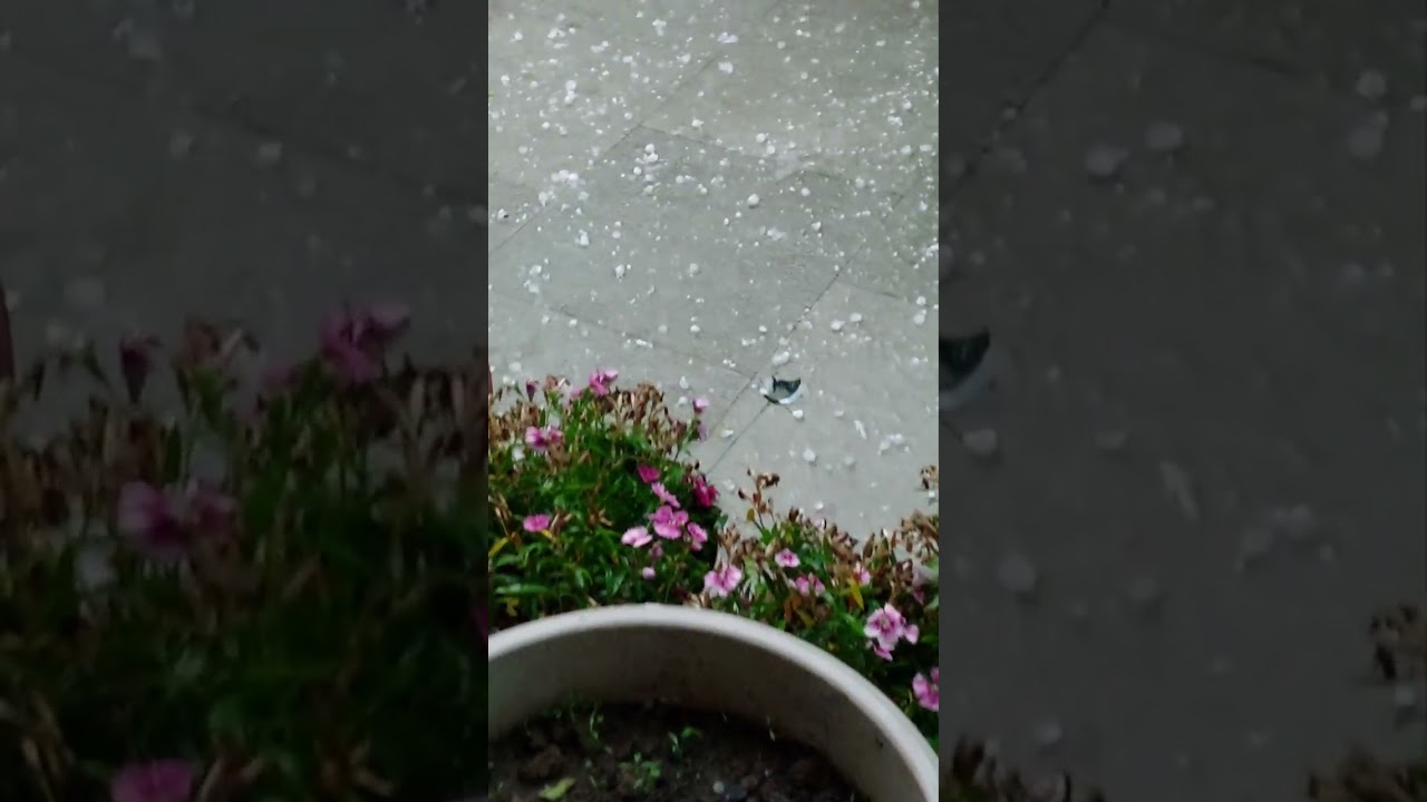 music of hail stones in Mohali Sector-67 1st Feb 
