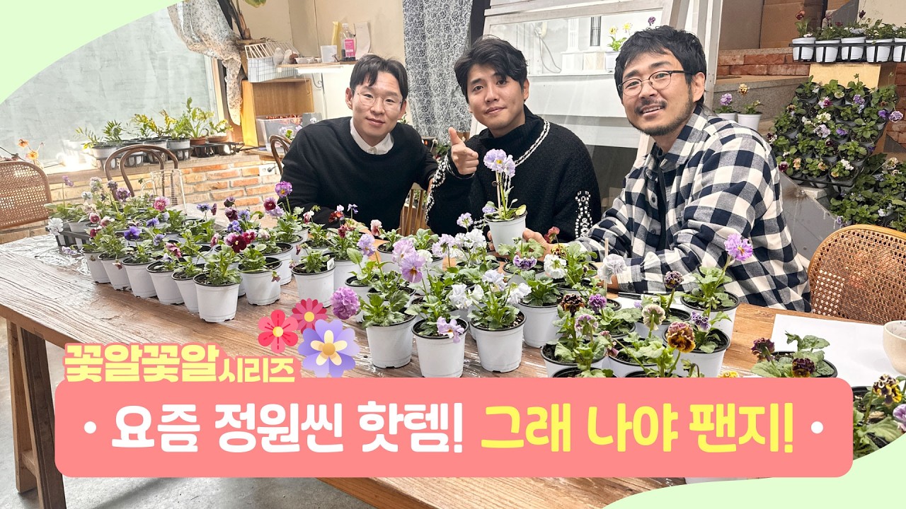 꽃알꽃알 시리즈🌼 그래 나야 팬지! 요즘 빠져볼 그 팬지!😘
