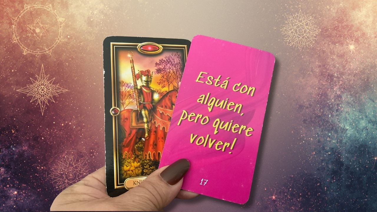 TAURO! 