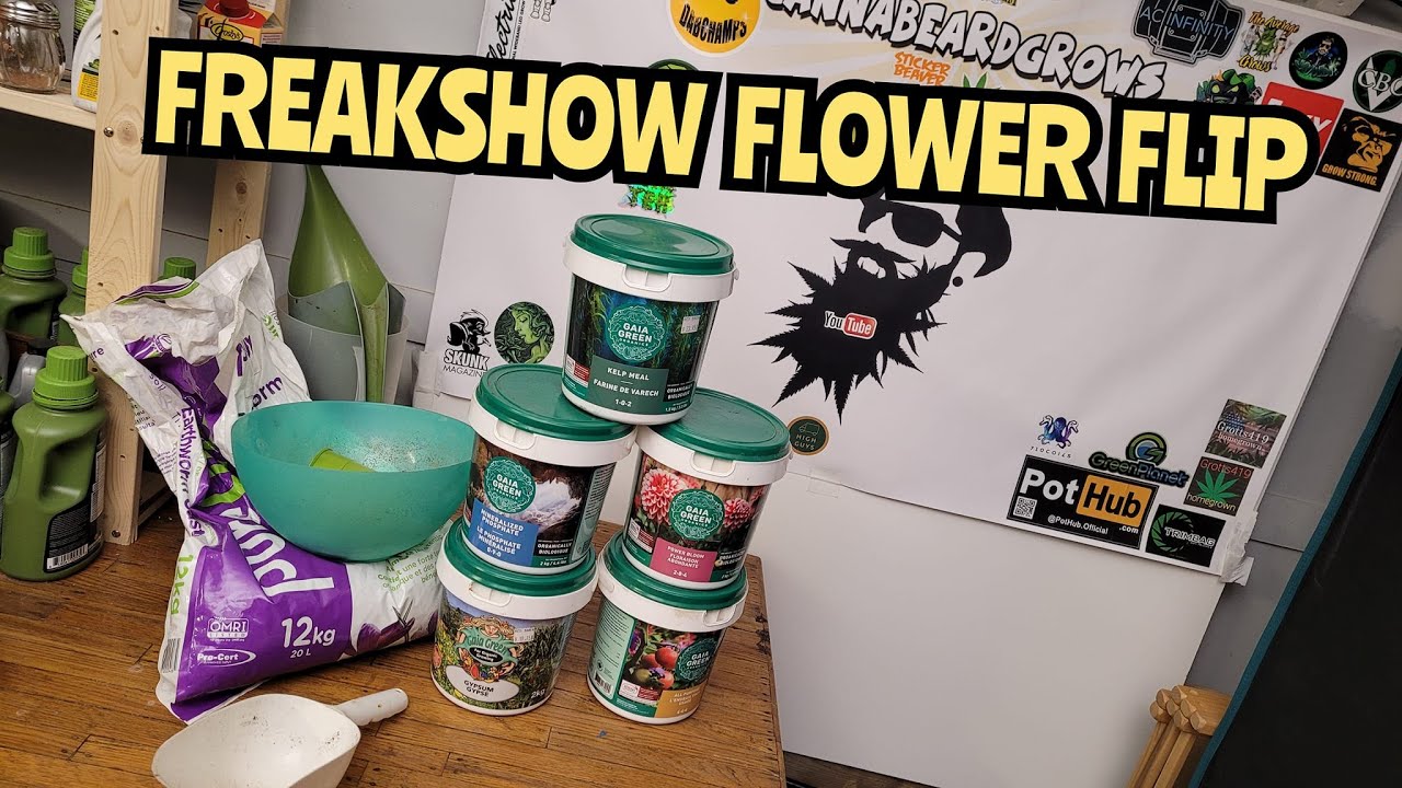 FREAKSHOW FLIP - GROWGARAGE - 9 weeks its time