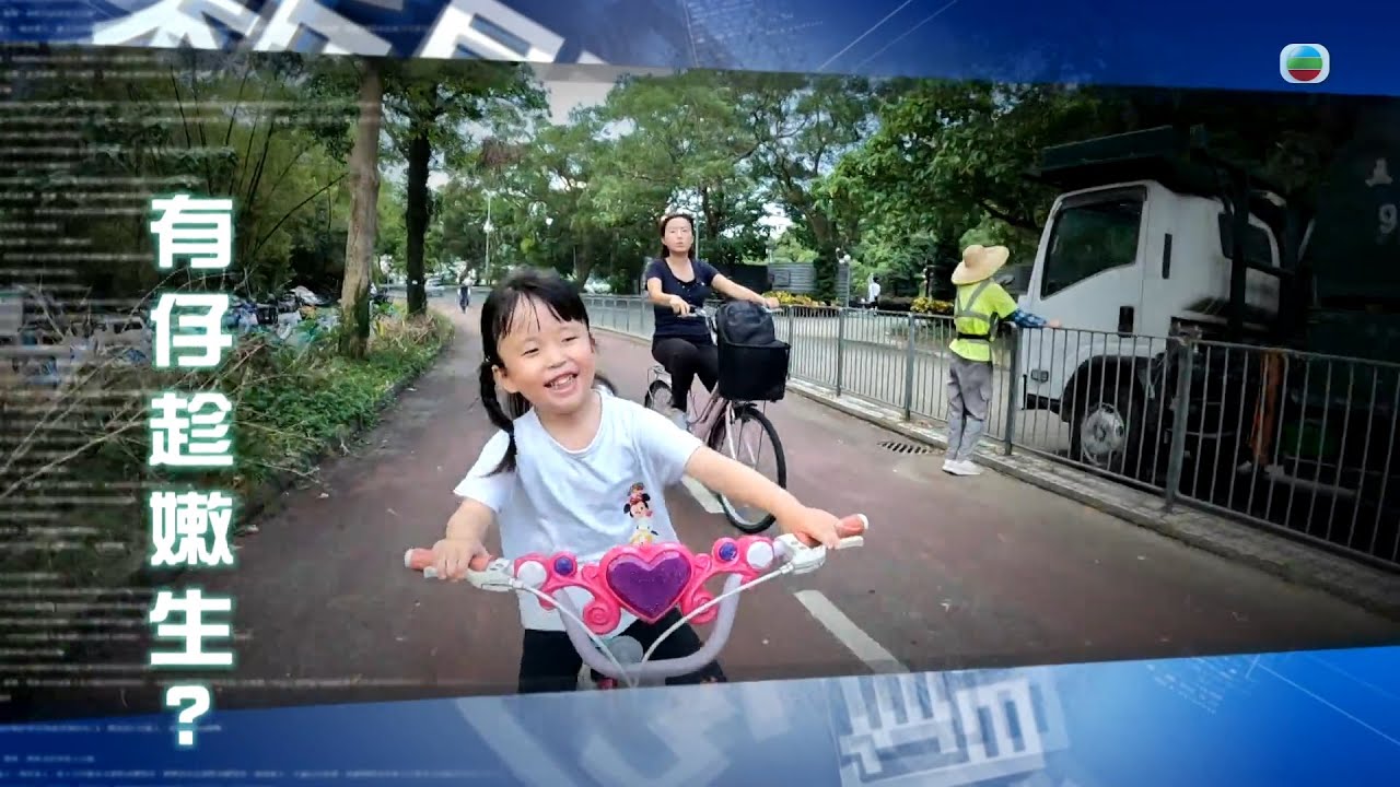 TVB新聞透視 ｜有仔趁嫩生？｜(繁／簡字幕)｜無綫新聞 ｜TVB News