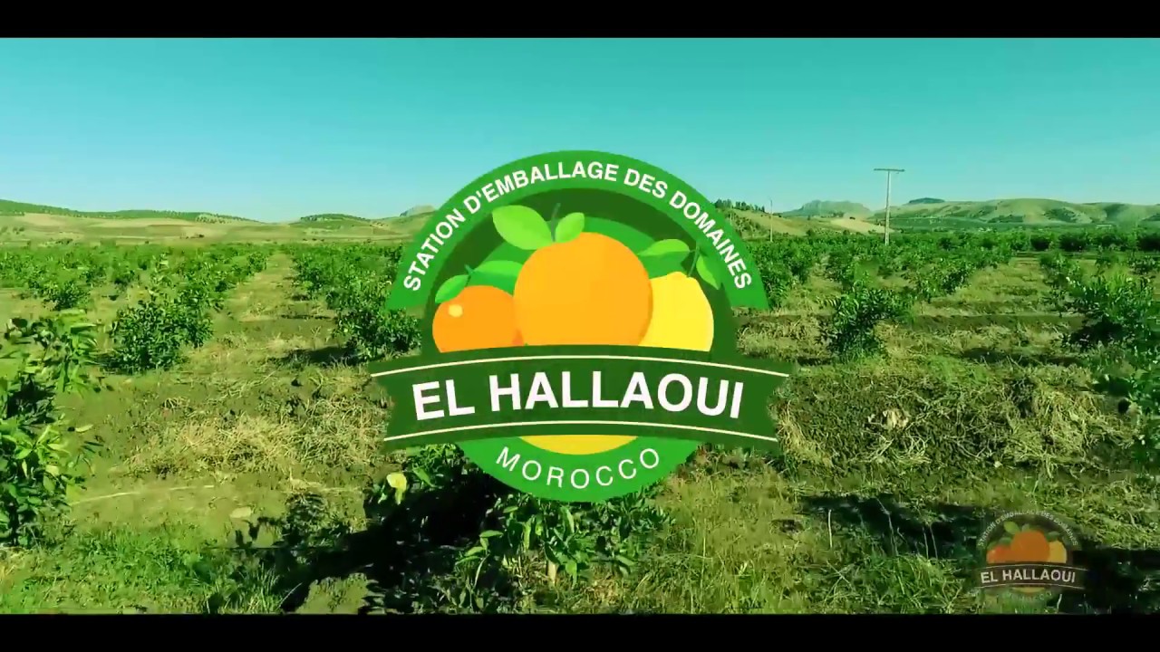 WE ARE EL HALLAOUI -FR- / Domaines D'agrumes - Maroc -