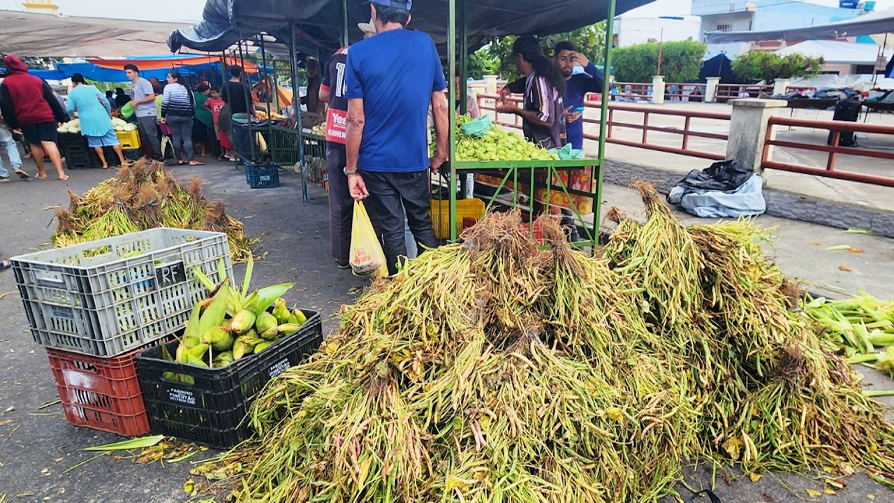 NA FEIRA DE CRUZES PE TEM MILHO E FEIJ&Atilde;O VERDE. OLHA ISTO BRASIL!