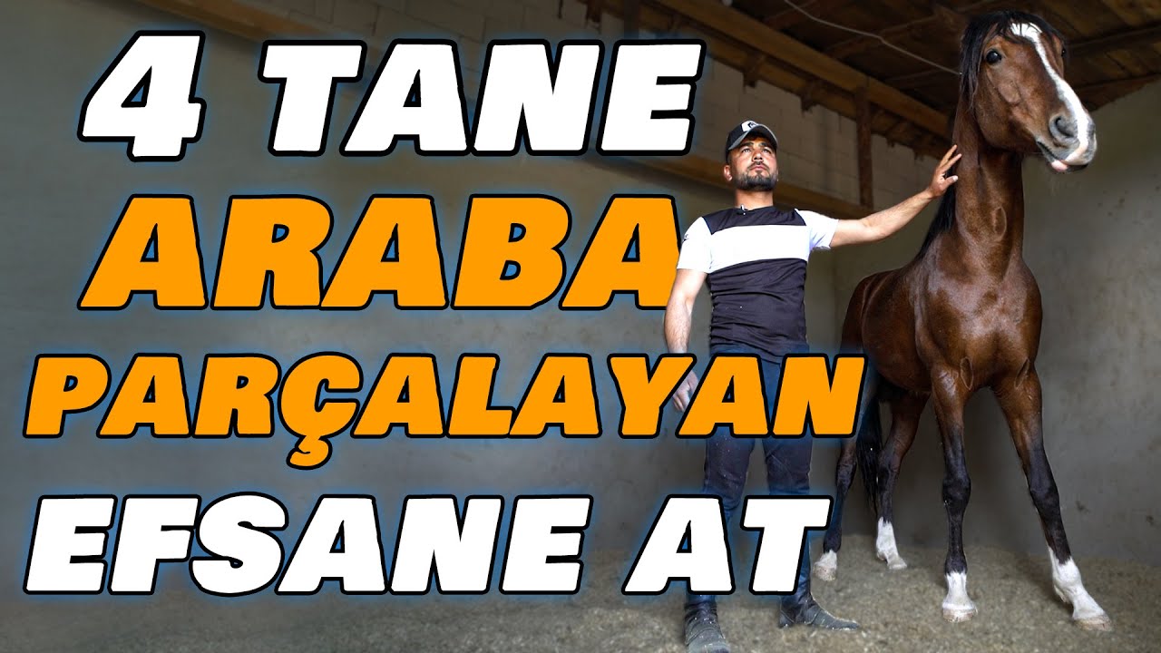 Parayla Satın Alınamayacak 