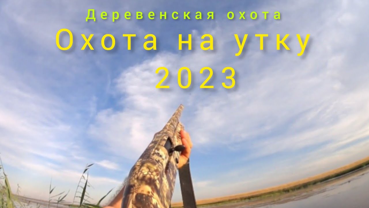 АТА АРМС НЕО 12 .ОХОТА на утку 2023.ВЕЧЕРКА.(hunting)