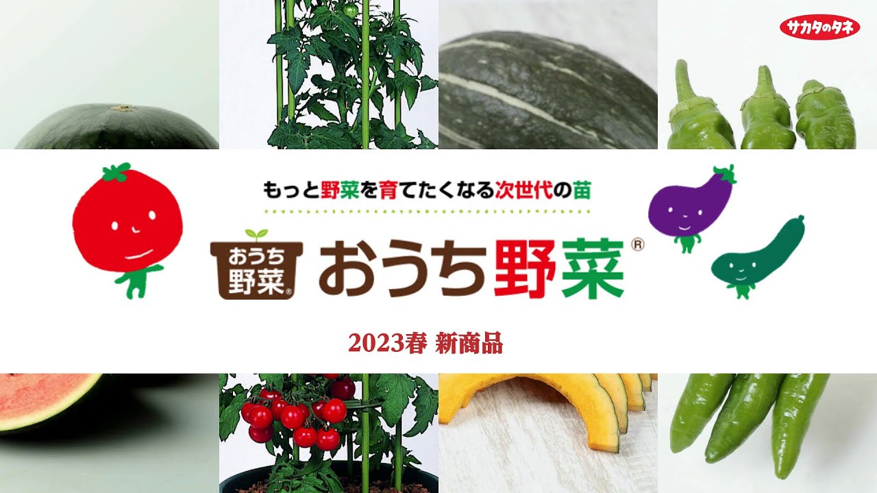 おとなも子ども楽しめる！「 おうち野菜® 」23年春 新商品